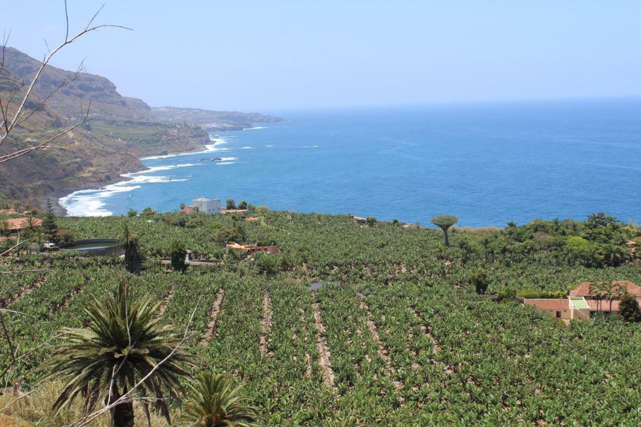 Holidaynorthtenerife Exotic Apartament Los Realejos Exterior photo